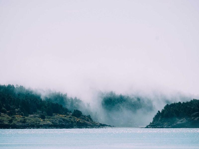 sudoku game no download screenshot 4